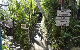 Bungalows Caraibes Et Goyave Proches De La Route Mais Calme La Nuit